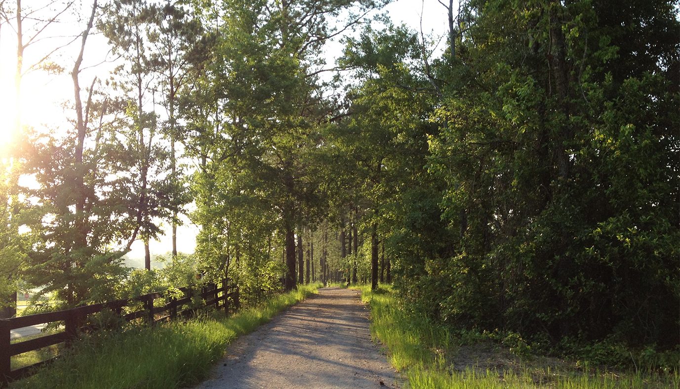 Hiking & Walking Trails Woodside Luxury Gated Communities Aiken SC